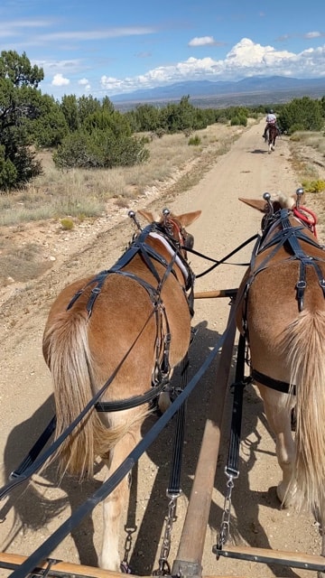 A horse-drawn carriage traveling a rural trail with mountains in the distance