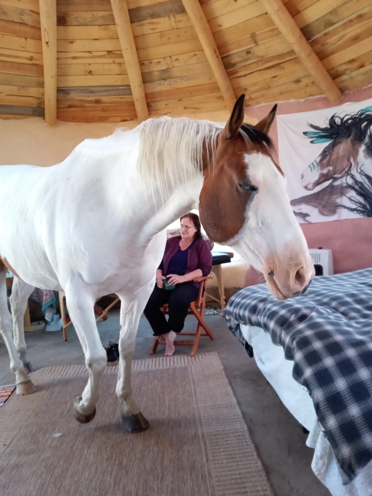 A white and brown horse standing inside a rustic room